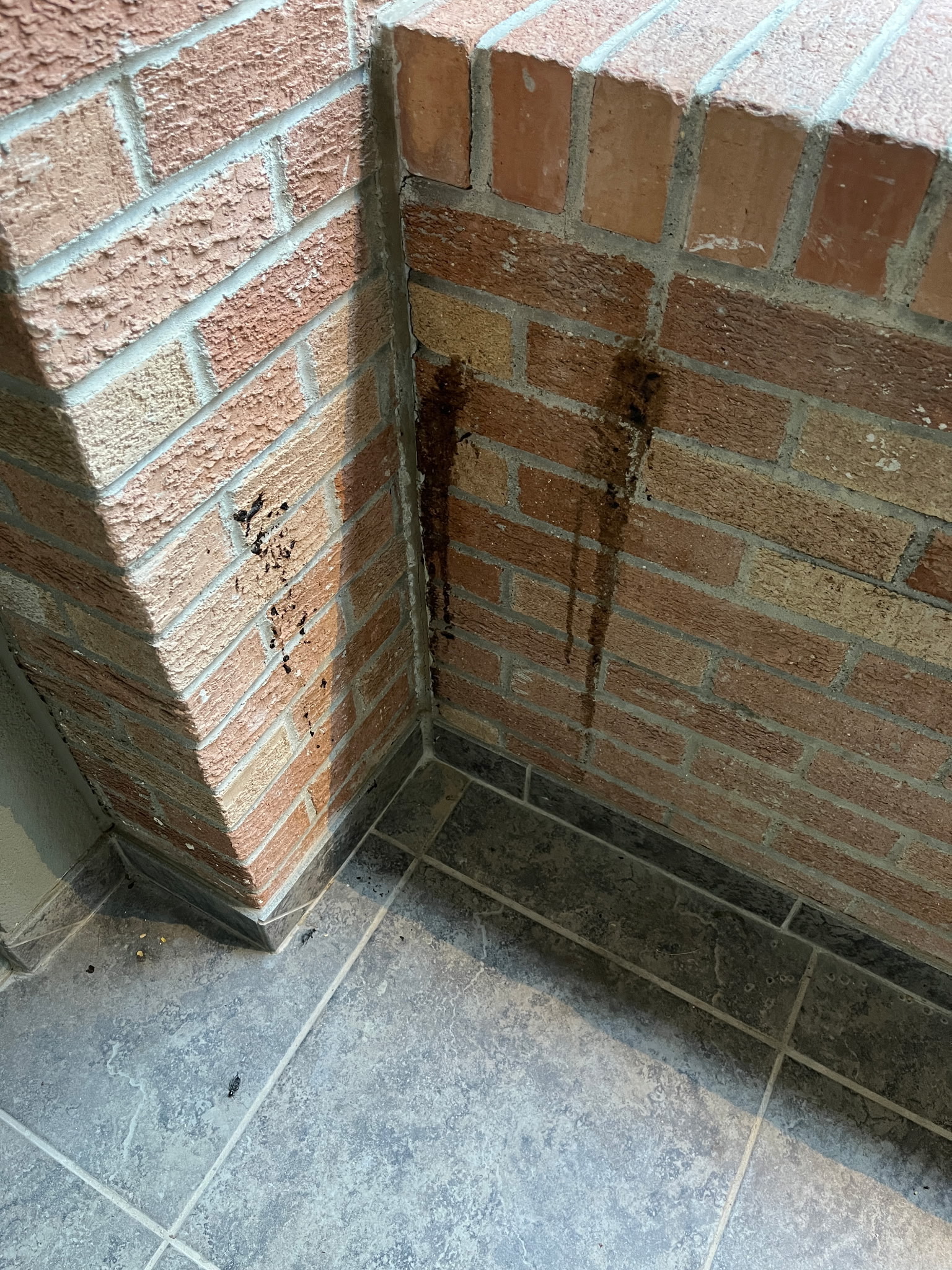 Dirty stained brick exterior before pressure washing